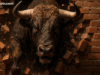 Bitcoin Price Watch: Bulls Push Back — But Is It Enough for a Breakout?