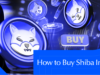 How to Buy Shiba Inu (SHIB) Safely in 2025
