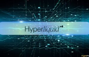 Hyperliquid Outpaces Ethereum and Solana in Revenues – But HYPE Trades at a Massive Discount