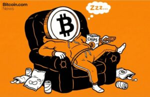 Fidelity Macro Analyst: Bitcoin Might Take a ‘Year off’ in 2026