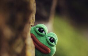 Investor Sues Pepe Meme Creator Over Role in North Korean NFT Hack