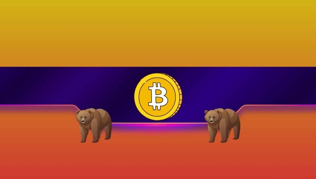 BTC-BEARS_CB.jpg