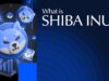 What Is Shiba Inu? Ecosystem, Risks, and Future Outlook