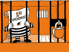 Cato Networks CEO: It’s Time to Limit the First Amendment to Protect It