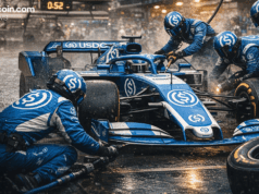 Stablecoin Market Takes a Breather After December’s $310B Peak