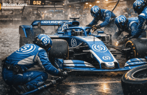 Stablecoin Market Takes a Breather After December’s $310B Peak