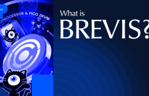 What Is Brevis Network? ZK Engine Powering Data-Driven Apps