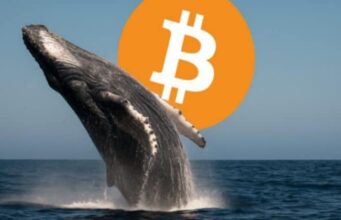 Bitcoin whale Garrett Jin sends $761 million in BTC to Binance