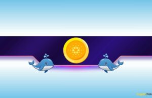 Why Cardano Whales Are Buying the Dip in Bulk