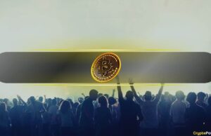 Bitcoin’s 50% Drop Tests Markets as Retail Investors Continue Dip Buying