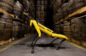 Meet Scotland’s Whisky-Sniffing Robot Dog
