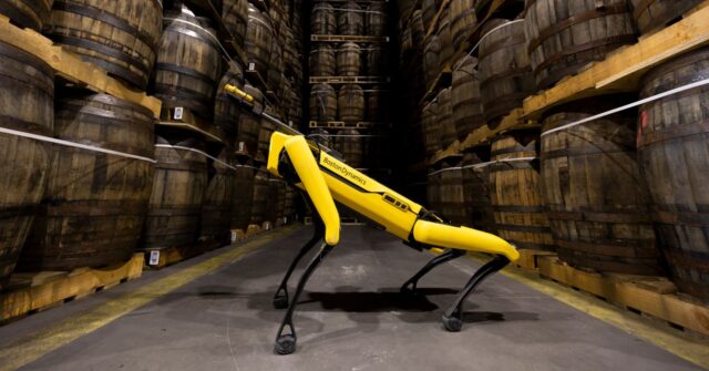 Meet Scotland’s Whisky-Sniffing Robot Dog