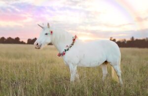 Meet the new European unicorns of 2026