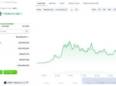 What Is Punch Crypto? Solana Meme Coin Surges 80,000% Since Recent Launch