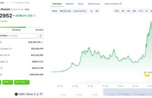 What Is Punch Crypto? Solana Meme Coin Surges 80,000% Since Recent Launch