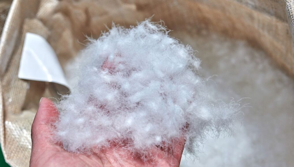 White-goose-down-feather-burlap-sack-GettyImages-1478950921-Comezora-cropped.jpg