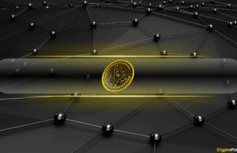 Bitcoin No Longer a High-Beta Play