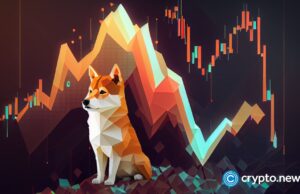 Will Shiba Inu price drop as whale transfers 370B SHIB to exchange?
