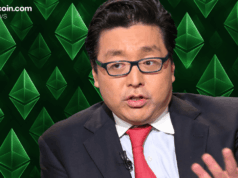 Digital Asset Treasury Firm Bitmine Adds 51,162 ETH Amid Market Pullback