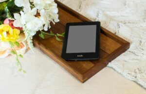 Stuff Your Kindle Day is here — score free sapphic books today only