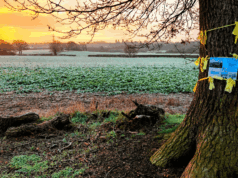 The Small English Town Swept Up in the Global AI Arms Race