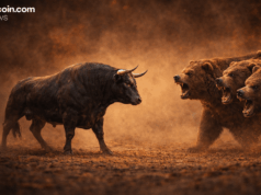Dead Cat Bounce or Bottoming Out? Bitcoin Bulls Face Harsh Reality Check