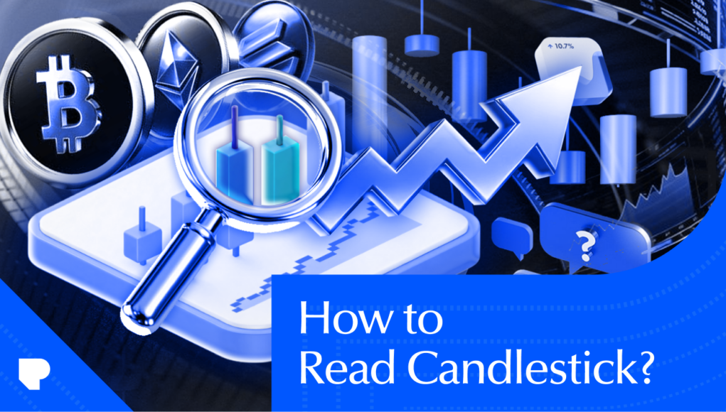 nftplazas-how-to-read-candlestick.png