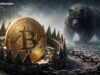 Peter Schiff Warns Bitcoin Rallies Are Traps Before Bear Market Crash