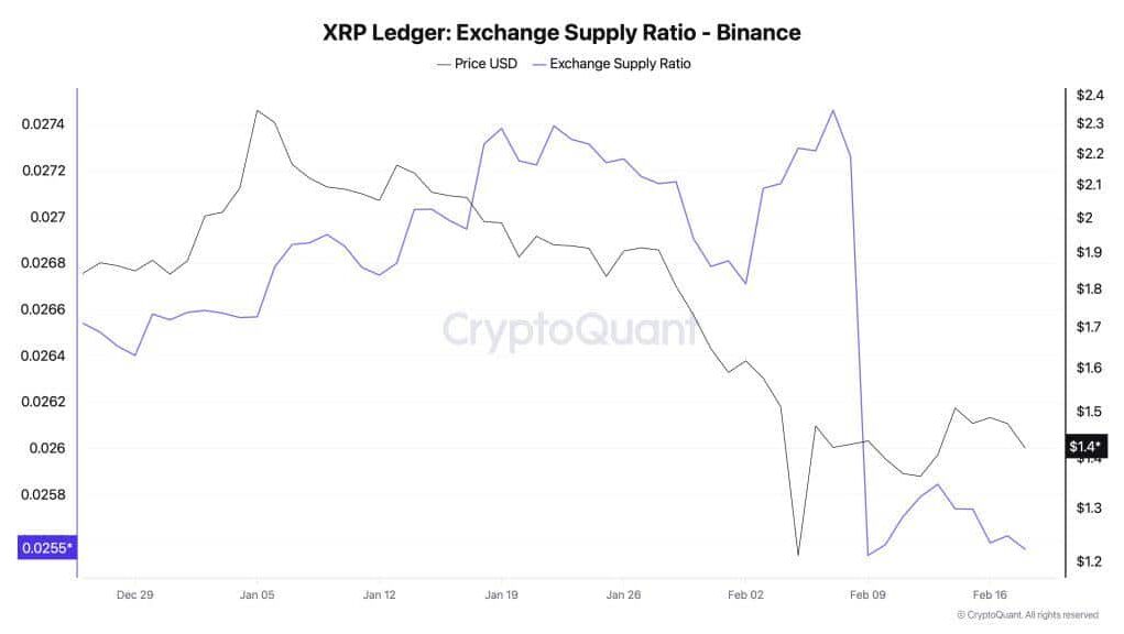 xrpdata.jpeg