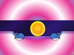 Is Cardano Facing a Renewed Drop?