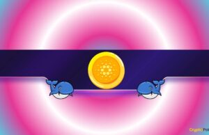 Is Cardano Facing a Renewed Drop?