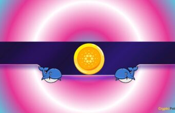 Is Cardano Facing a Renewed Drop?