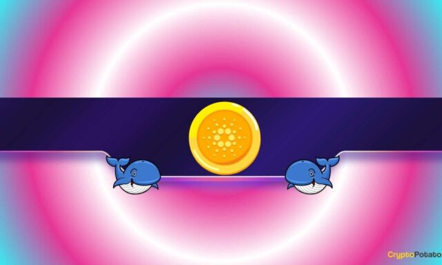 Is Cardano Facing a Renewed Drop?