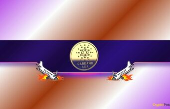 Cardano Called the ‘Most Useless Network in Crypto’ as ADA Down 92% From ATH