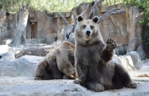 Over 40% of Altcoins Near All-Time Lows, Worse Than Last Bear Market