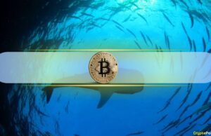 Are Whales Tightening Their Grip on Bitcoin Exchange Supply?