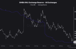 Shiba Inu Price Prediction: ‘Whale Watch’ What 131 Billion Token Withdrawals Mean for Your Bags
