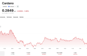 Hyperliquid Closes in on Cardano: Is HYPE Price On Verge of Pump to $50?