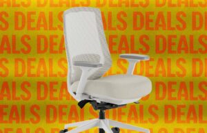 The Best Office Chair Is $50 Cheaper Than We’ve Seen Before