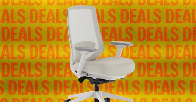 The Best Office Chair Is $50 Cheaper Than We’ve Seen Before