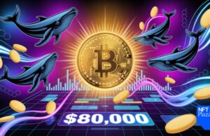 Bitcoin Price Targets $80,000 as 30-Day Whale Buys Hit 13-Year High?