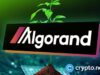 Algorand Surges 50% in a Month After Google’s Quantum Flag