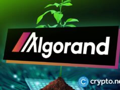 Algorand Surges 50% in a Month After Google’s Quantum Flag