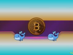 Bitcoin Whales Go on Accumulation Spree as BTC Price Reaches ‘Make-or-Break’ Point