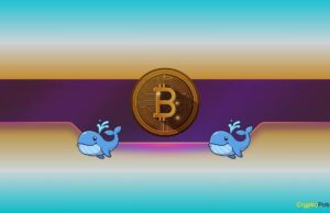 Bitcoin Whales Go on Accumulation Spree as BTC Price Reaches ‘Make-or-Break’ Point