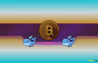 Bitcoin Whales Go on Accumulation Spree as BTC Price Reaches ‘Make-or-Break’ Point