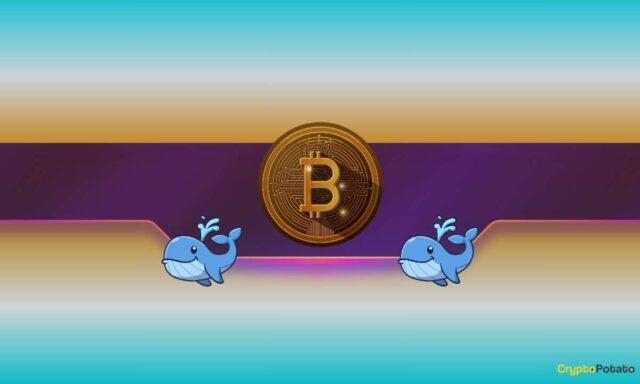 Bitcoin Whales Go on Accumulation Spree as BTC Price Reaches ‘Make-or-Break’ Point