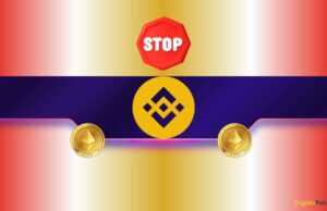 Binance Will Temporarily Pause Transfers on the Ethereum Network This Week: What’s Happening?