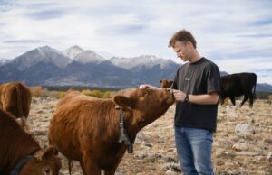 Peter Thiel’s big bet on solar-powered cow collars