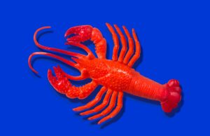 Anthropic says Claude Code subscribers will need to pay extra for OpenClaw usage